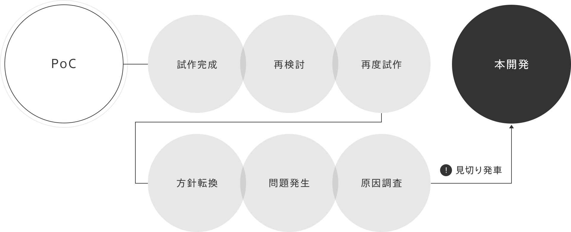 PoC→施策完成→再検討→再度施策→方向転換→問題発生→原因調査→本開発