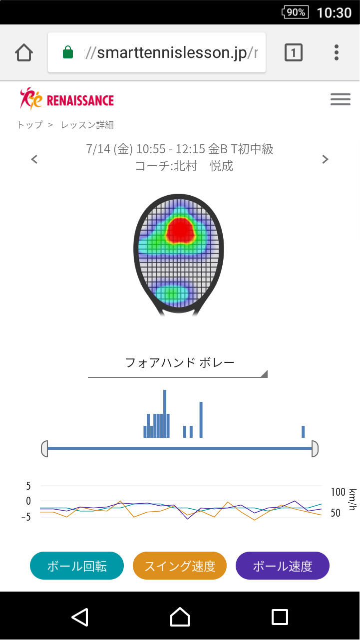 ボレーの安定性